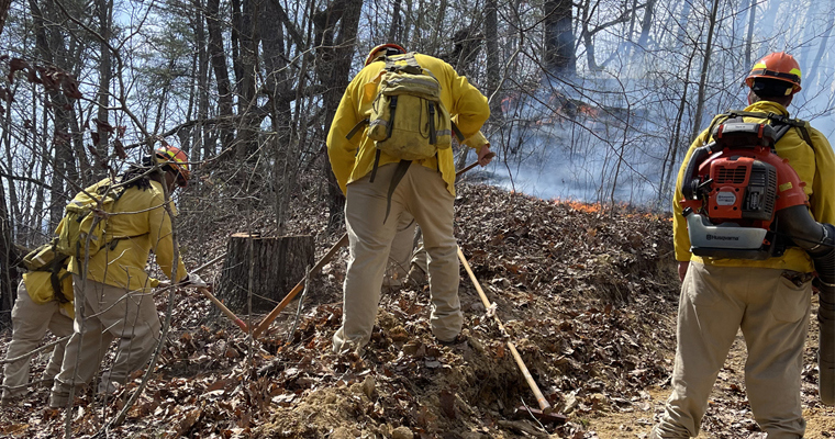 Bomberos combatiendo incendios forestales.